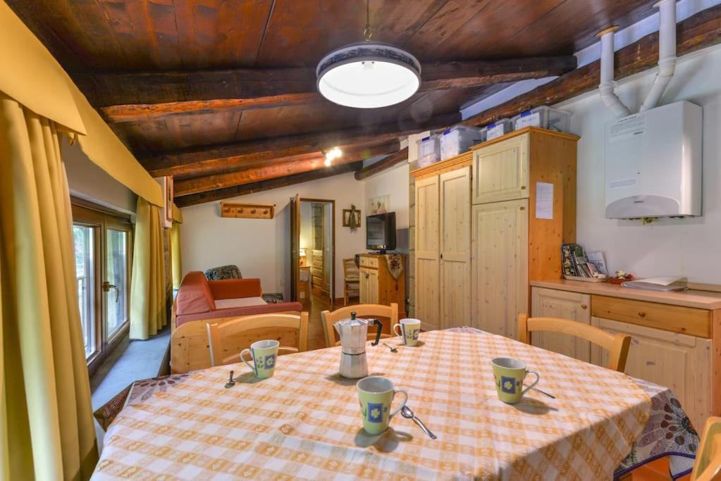 38-Volpini House In Amiata - Val D'Orcia, Saturnia, Feste&Sagre กาสเตลเดลปิอาโน ภายนอก รูปภาพ